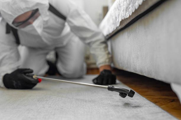 Professional Cockroach Control technician working in Gove County County, KS